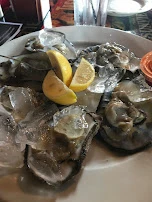 Oyster